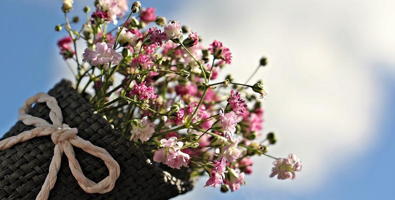 Happy Mothers Day from Home Safety Solutions