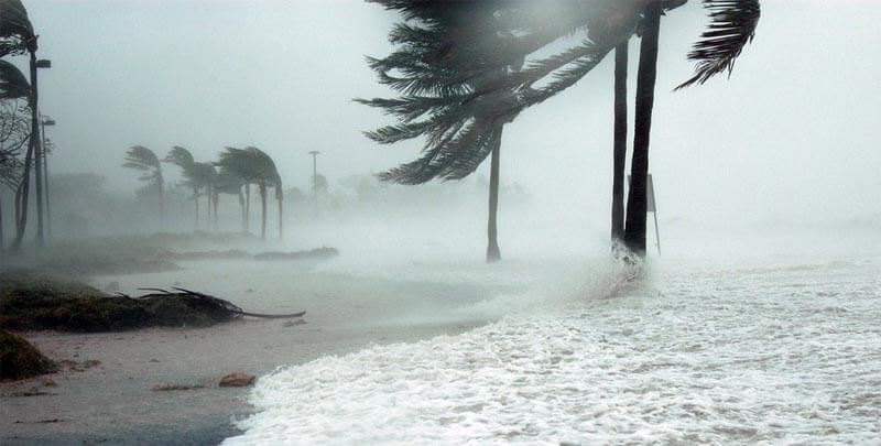 Apollo Beach Hurricane Protection Products