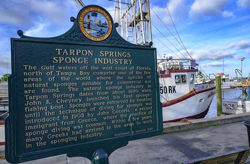 Tarpon Springs Hurricane Protection Products